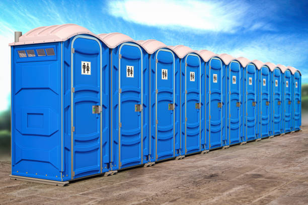 Types of Portable Toilets We Offer in Ladysmith, WI